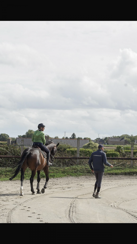 &Eacute;curies de Keriel - Ecurie de propri&eacute;taires (22)