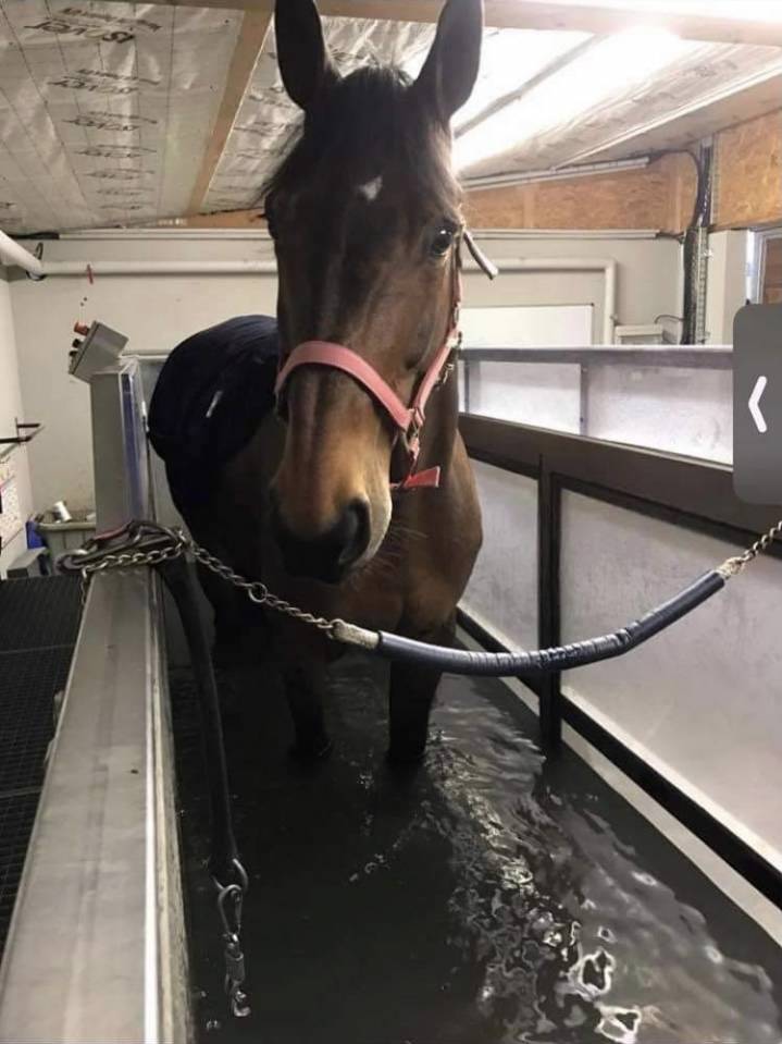 Pension &Eacute;curie &Eacute;lora Schmitter 