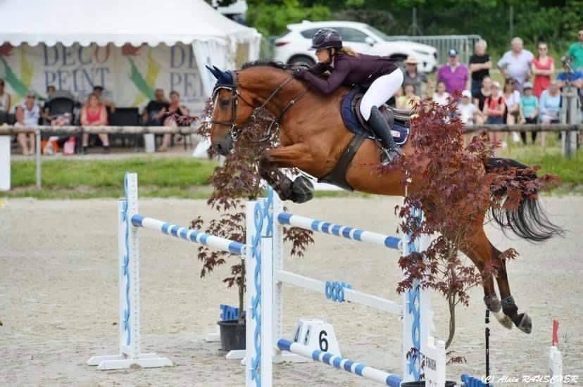 Pension &Eacute;curie &Eacute;lora Schmitter 