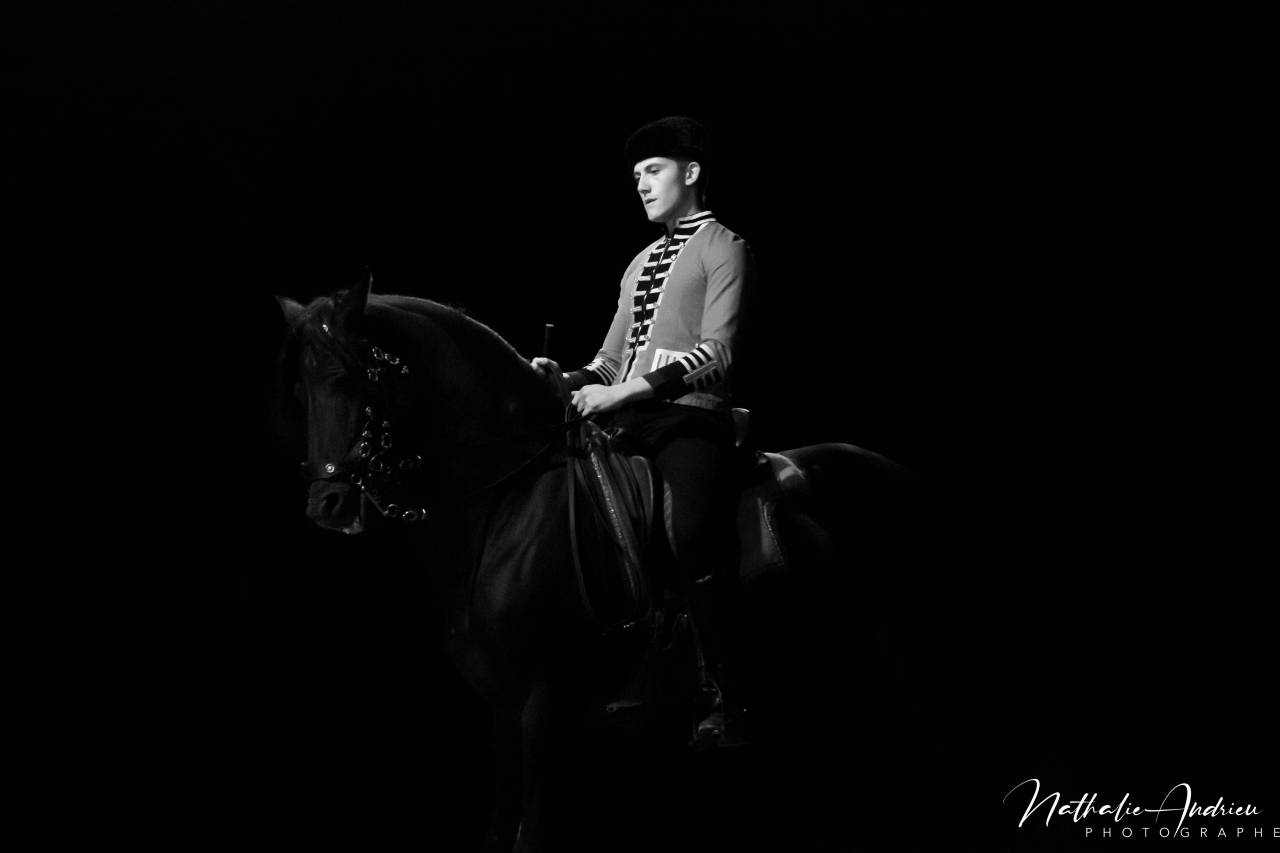 Photographe chevaux et animaux de compagnie