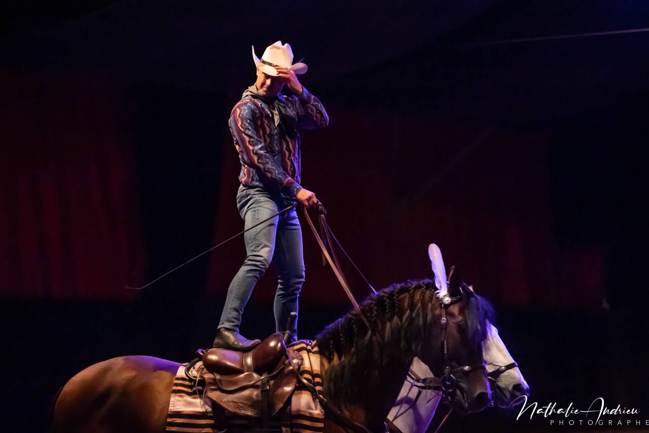 Photographe chevaux et animaux de compagnie