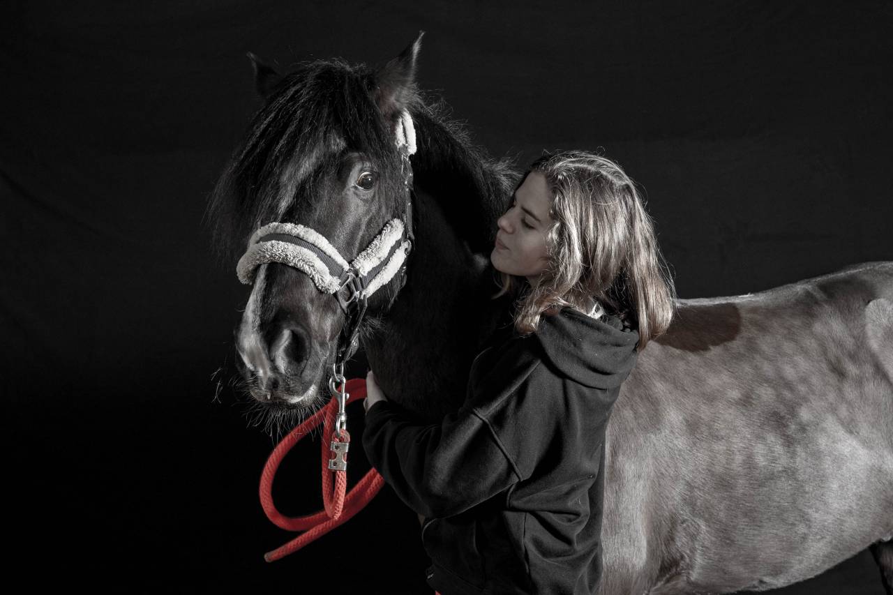 Photographe chevaux et animaux de compagnie