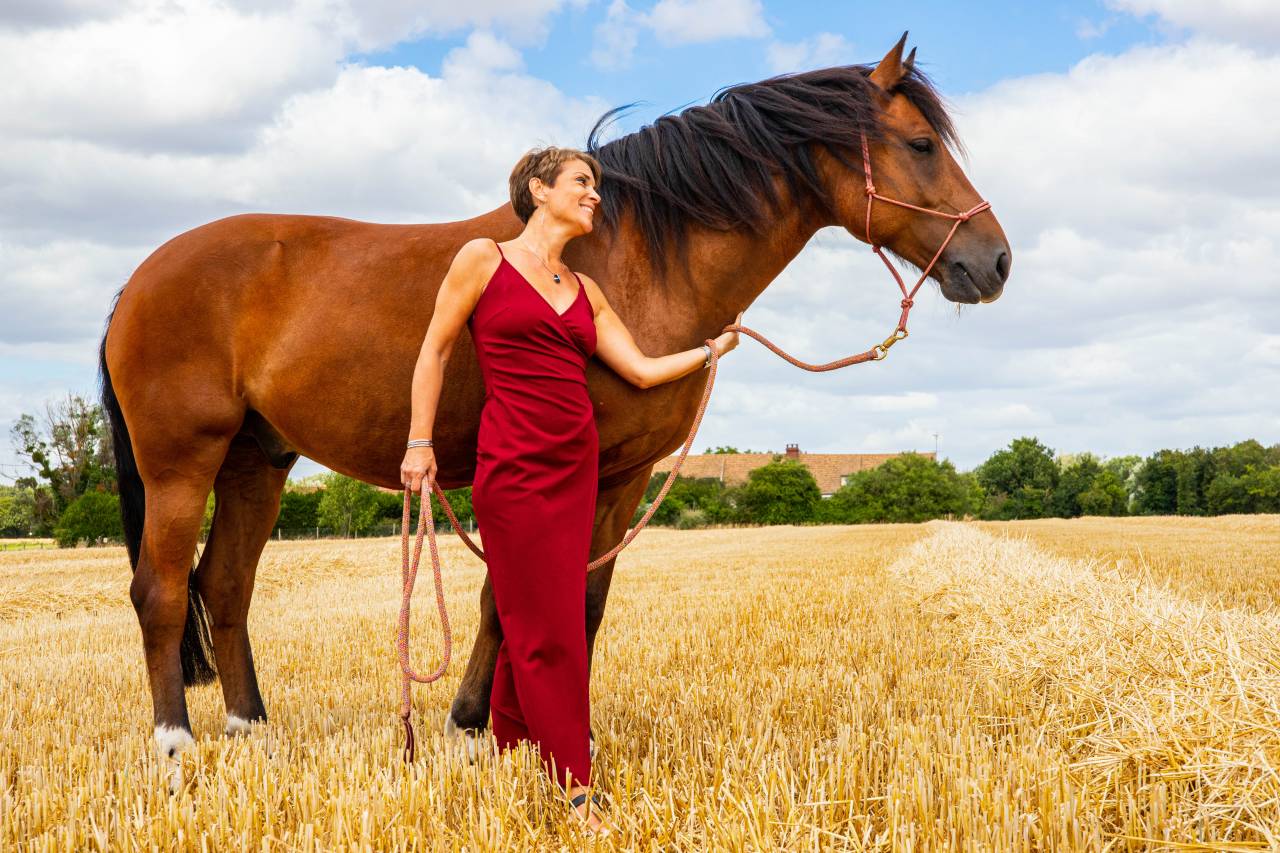Photographe chevaux et animaux de compagnie
