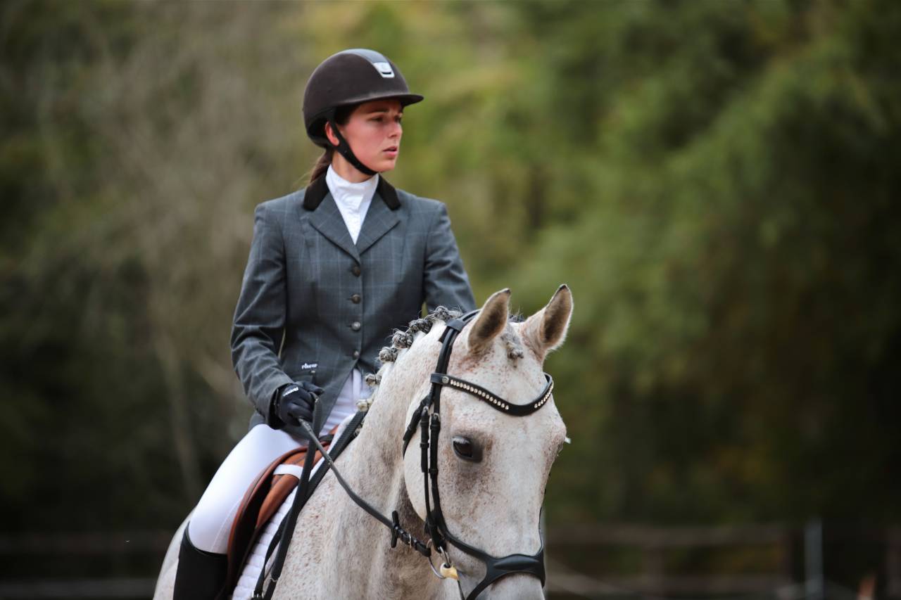 Photographe chevaux et animaux de compagnie