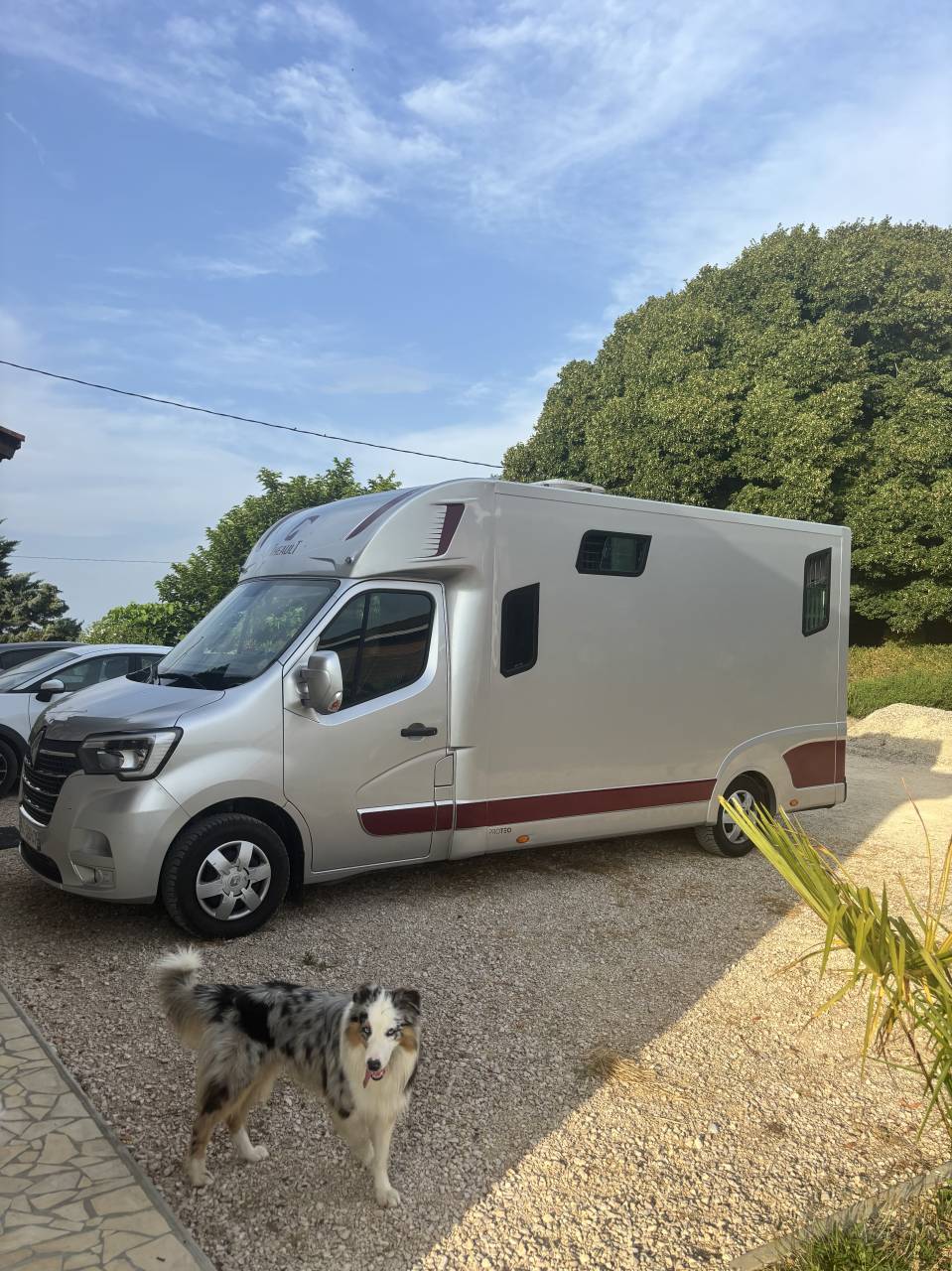 Location camion pour chevaux secteur Cazères