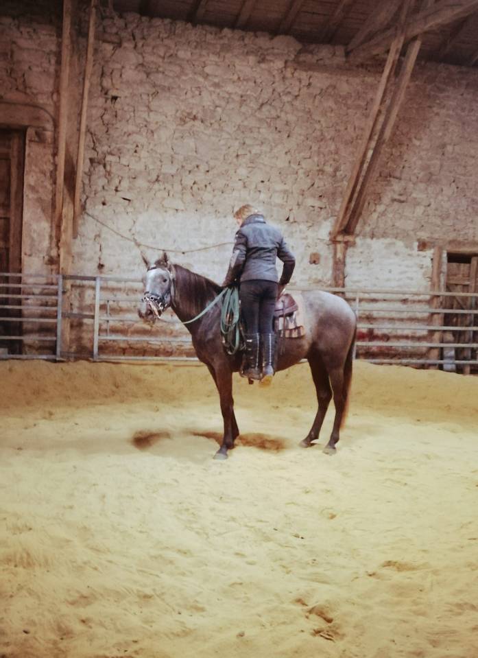 Pension travail, d&eacute;bourrage, &eacute;ducation du cheval