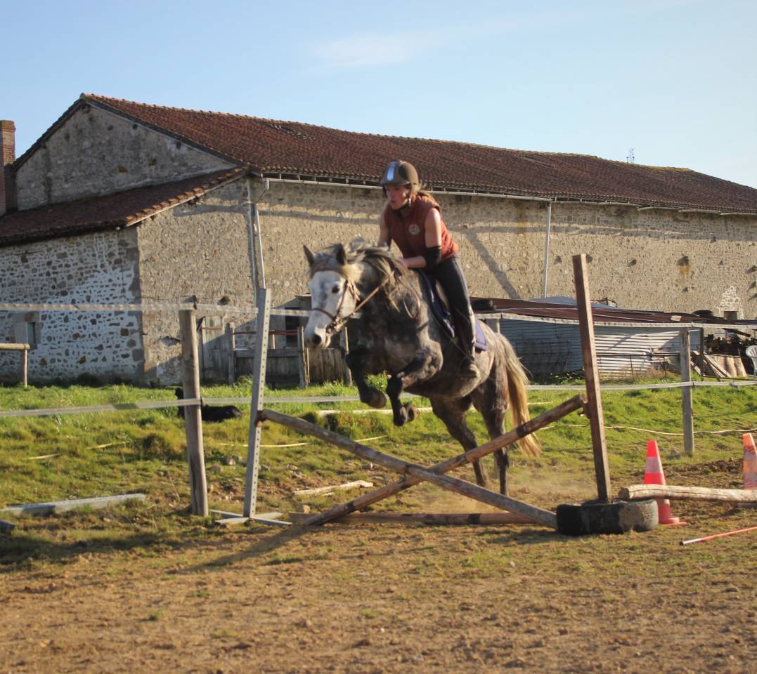 Pension travail, d&eacute;bourrage, &eacute;ducation du cheval