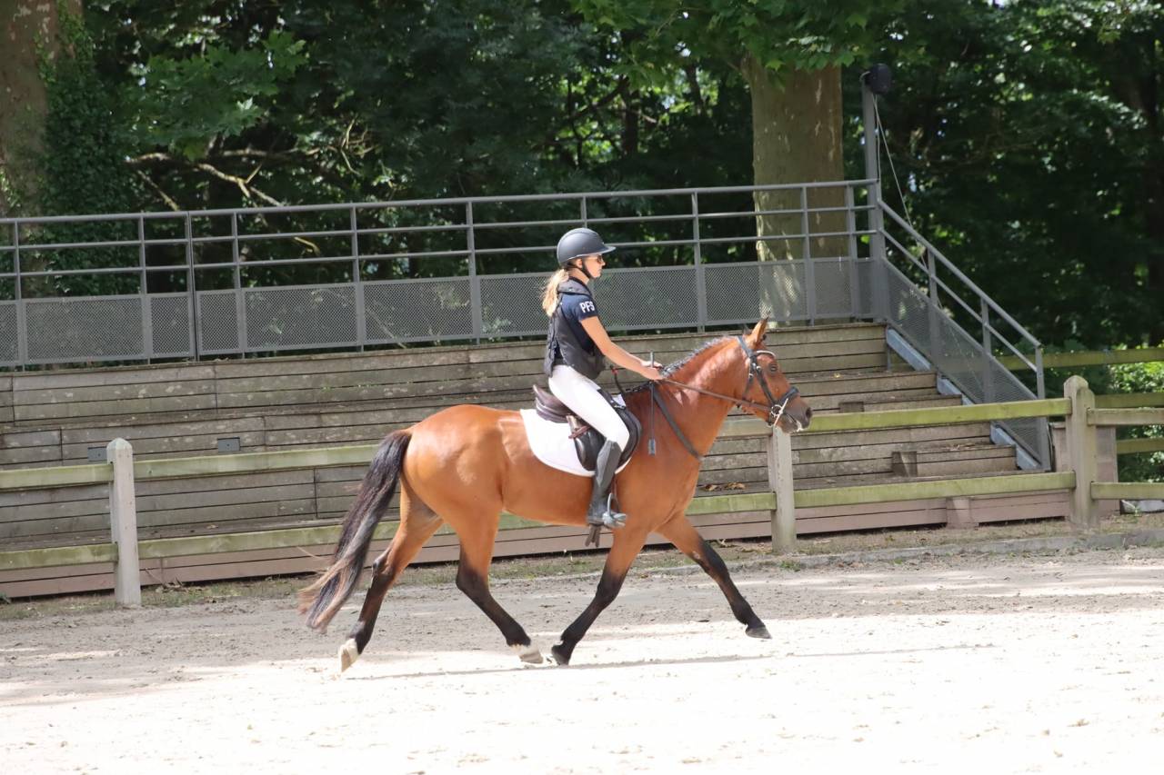 SAILLIE IAC 2024 - JUMBO DES ETOILES - ETALON NF