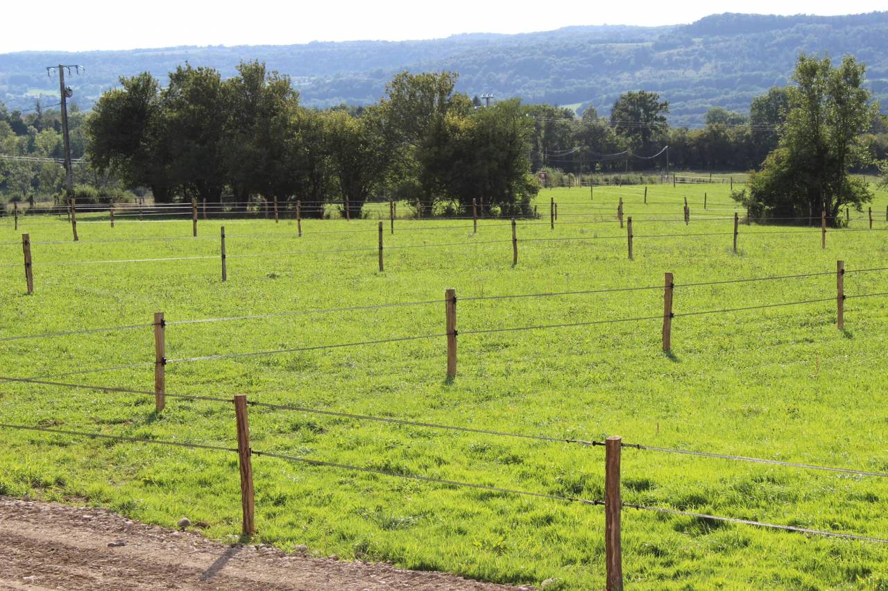 Pension chevaux - Ecurie Enon (39)