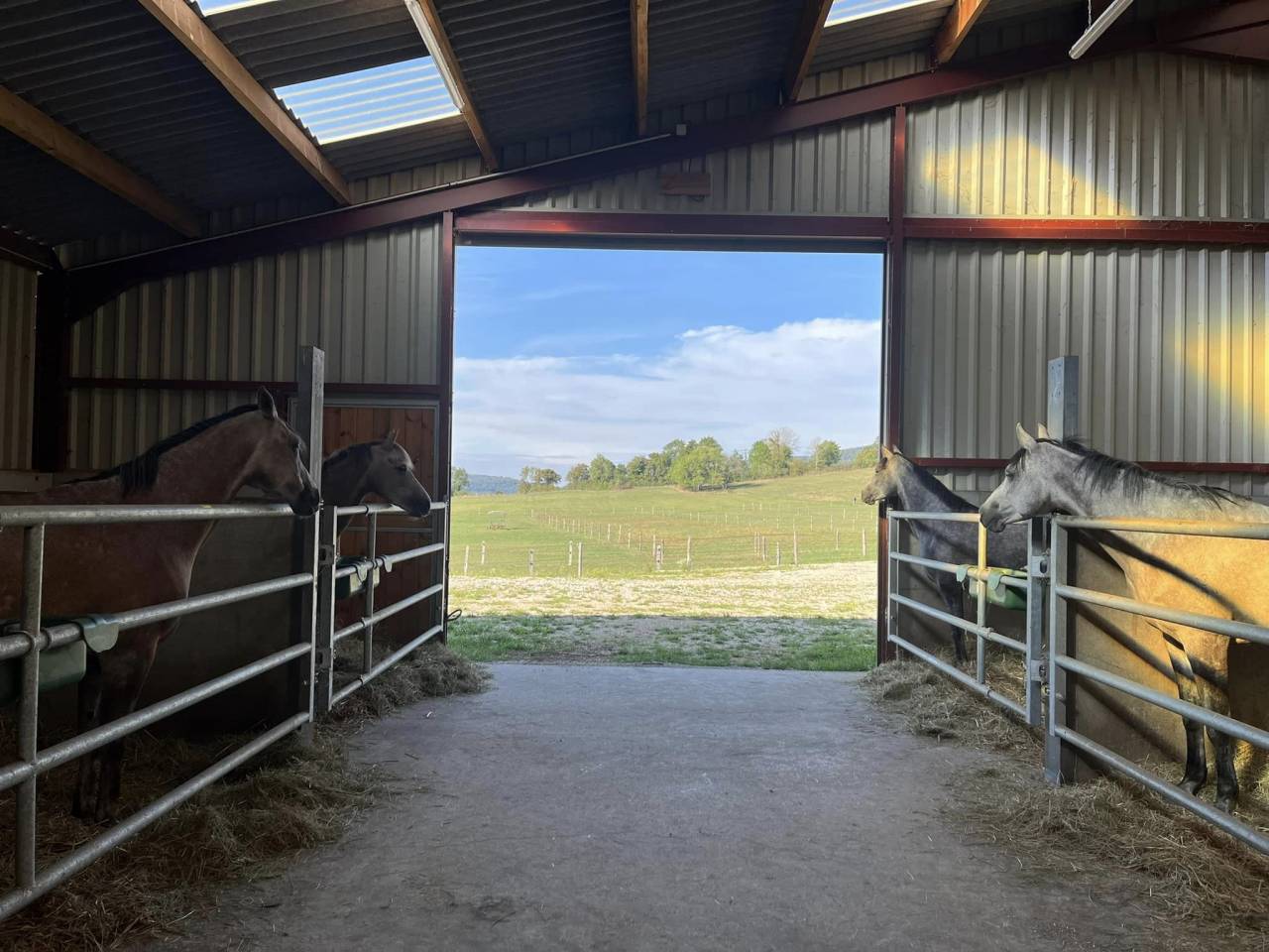 Pension chevaux - Ecurie Enon (39)