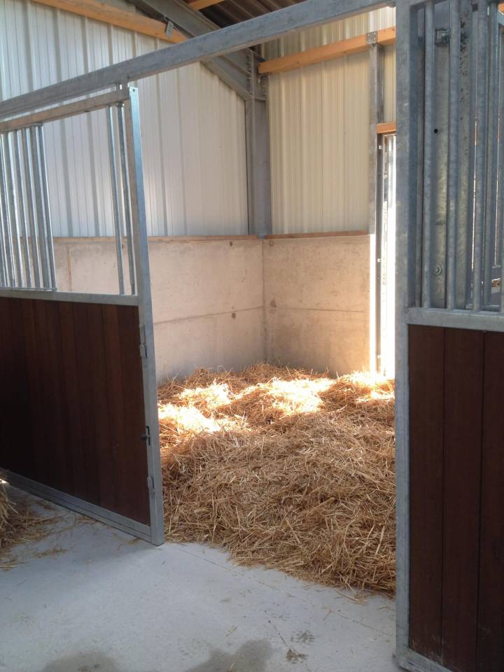 Pension chevaux - Ecurie Enon (39)