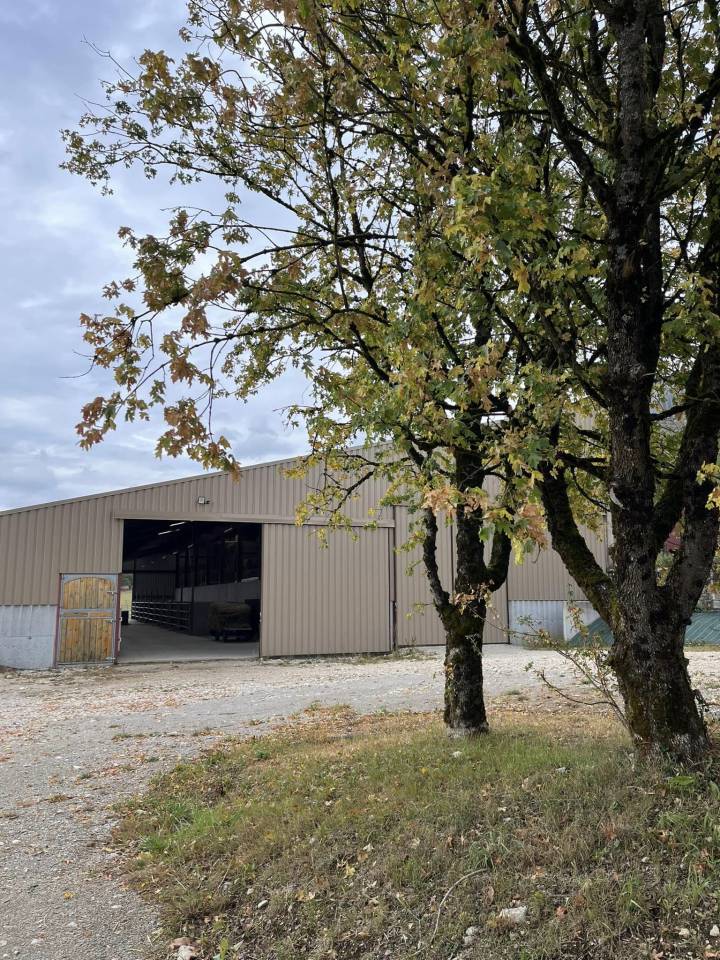 Pension chevaux - Ecurie Enon (39)