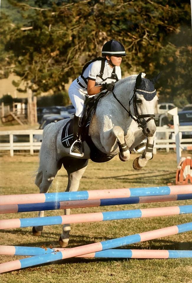 LAPSUS DE L'OCQ - New Forest - Gris - 1999 - 145 cm