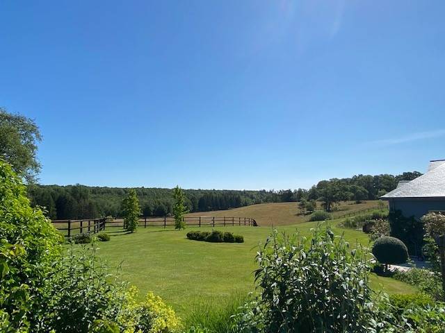 Pension chevaux en  retraite, au repos ou convalescents