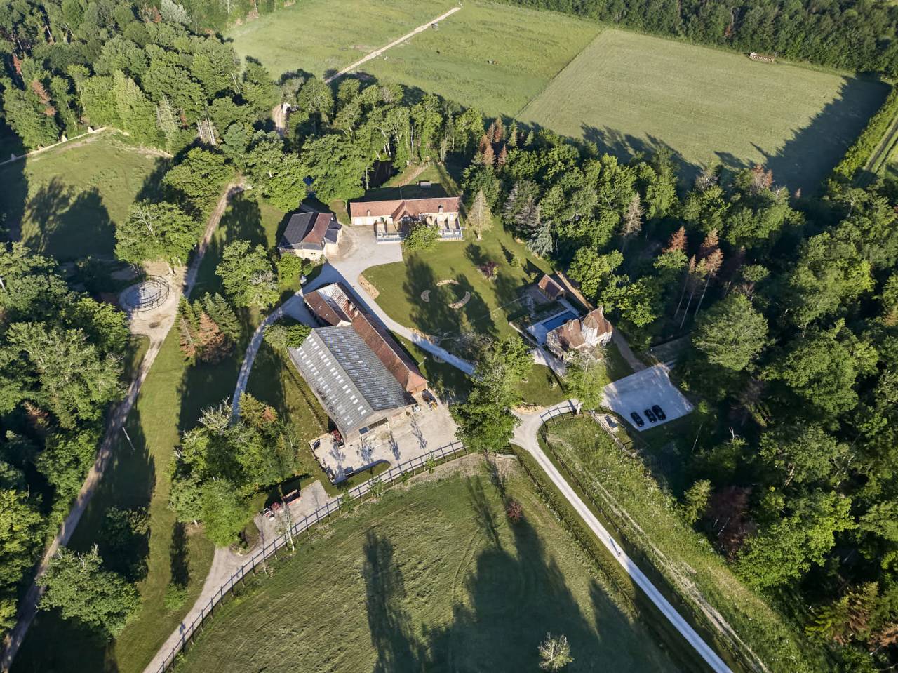 Pension chevaux en  retraite, au repos ou convalescents