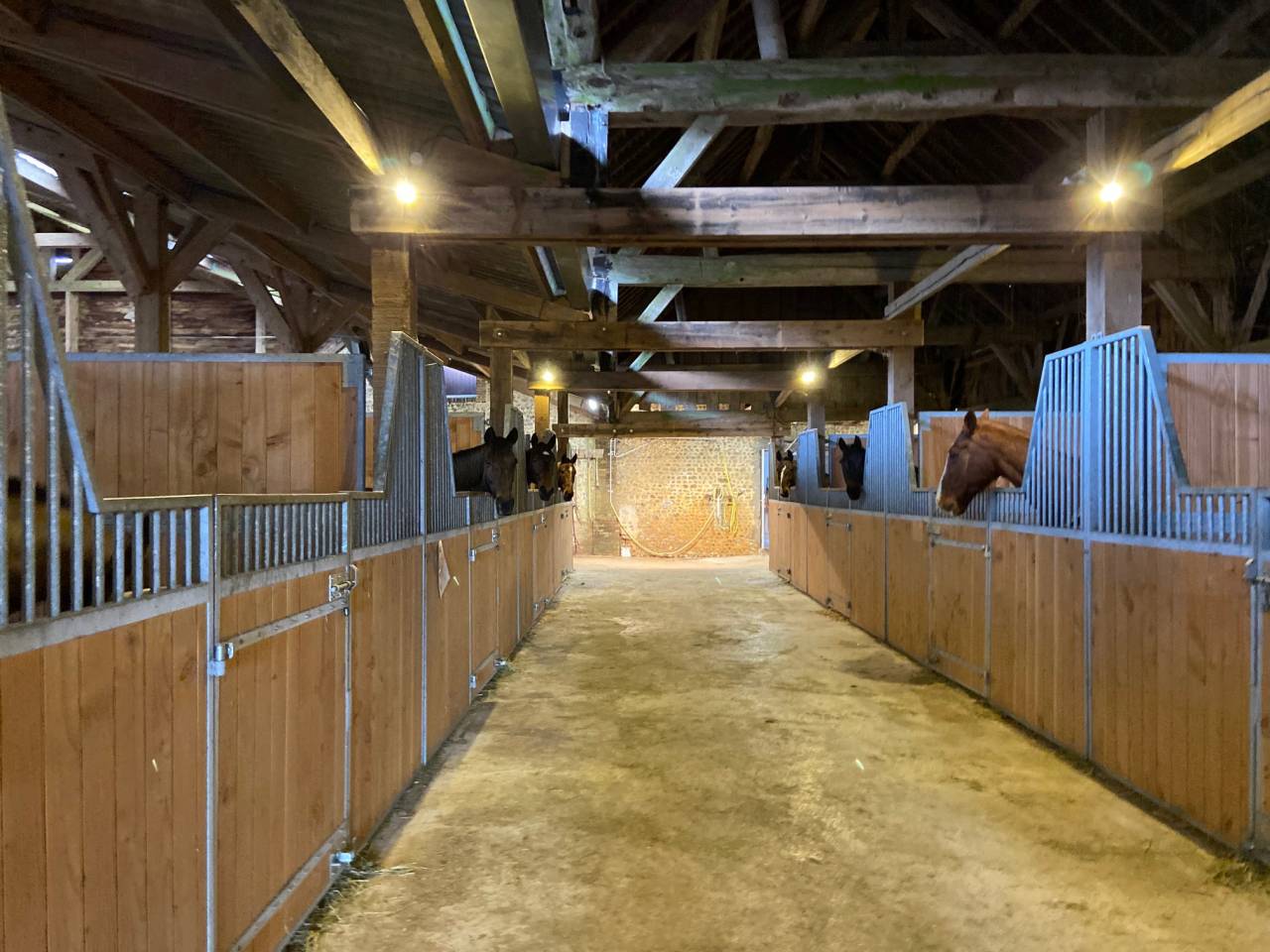 Pension chevaux en  retraite, au repos ou convalescents