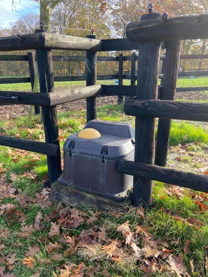 Pension chevaux en  retraite, au repos ou convalescents