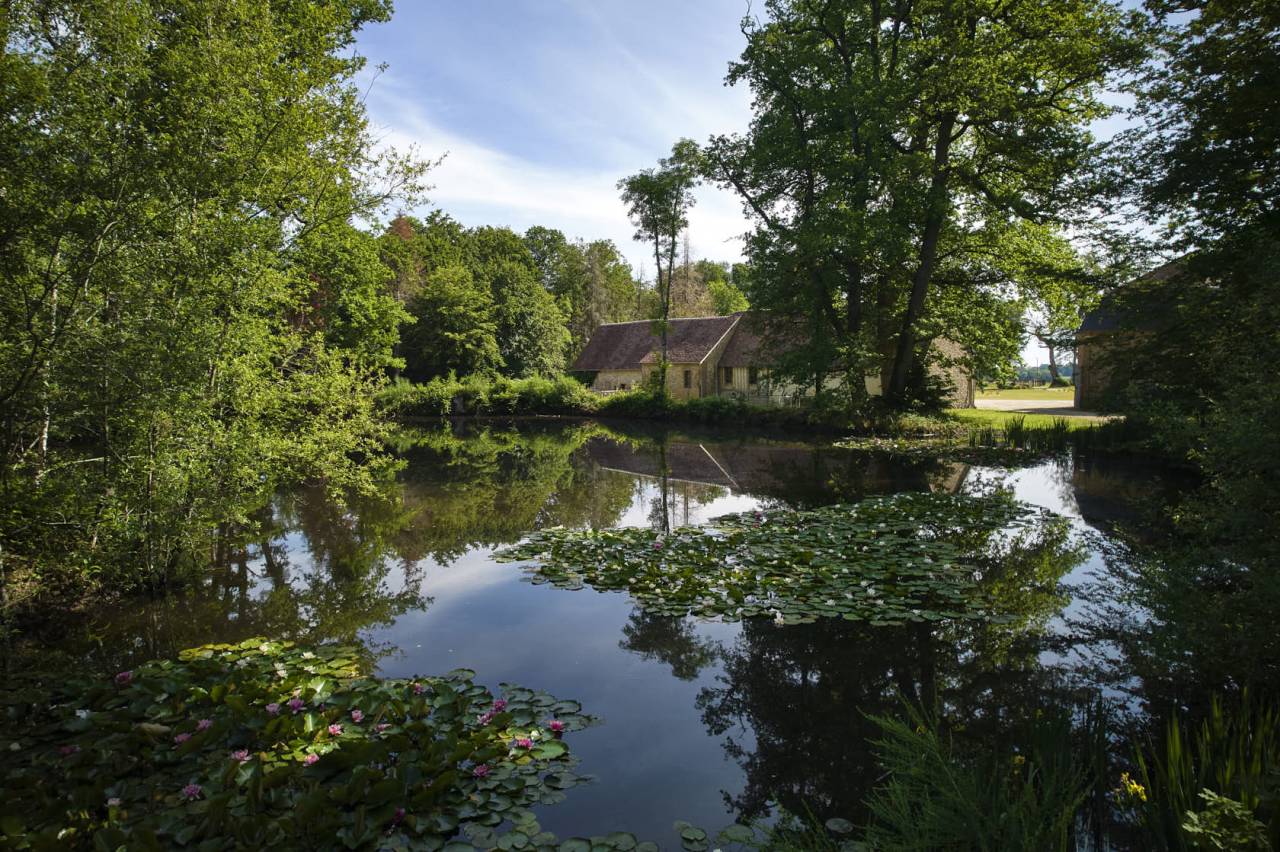 Pension chevaux en  retraite, au repos ou convalescents