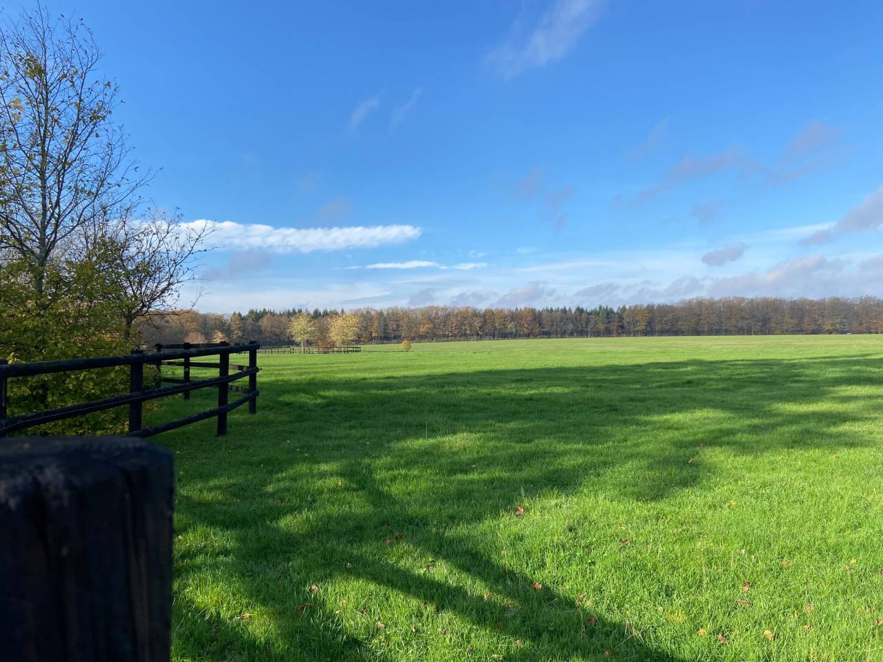 Pension chevaux en  retraite, au repos ou convalescents