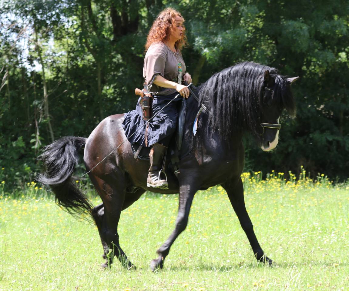 Saillie étalon spectacle PRE PP noir  PUNTEADO II 