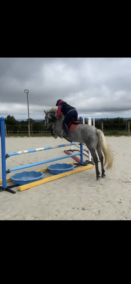 Pension de qualit&eacute; &agrave; 15mn de Bourgoin jallieu