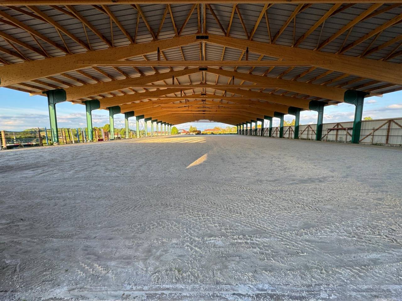 Pension de chevaux/ enseignement
