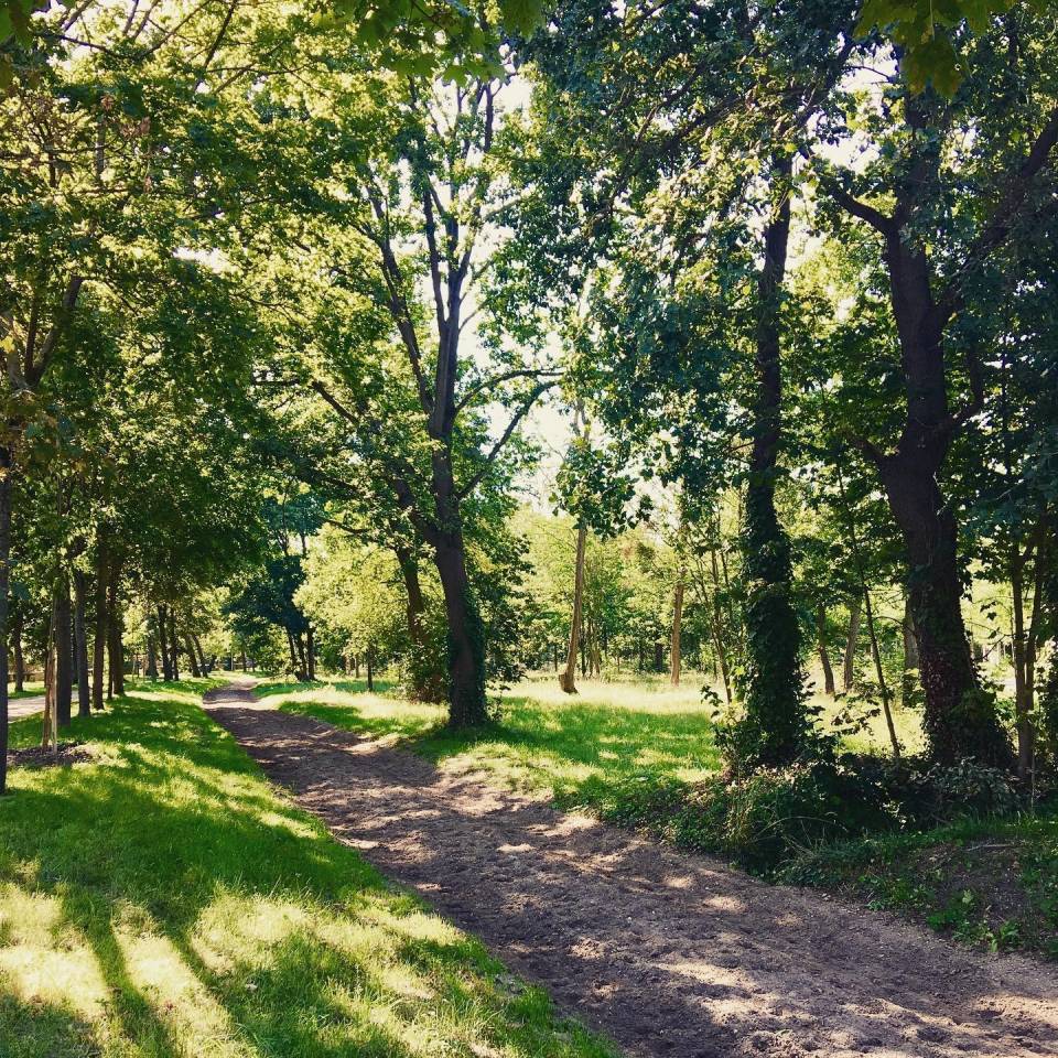 Pension pour chevaux proche Paris 