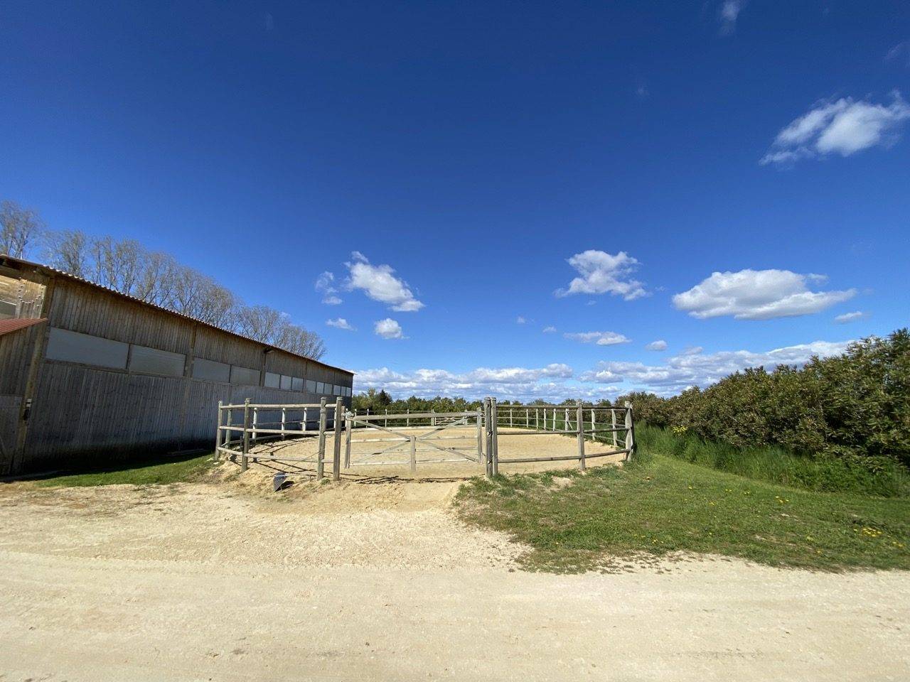 715954_1722999058_5375.jpg