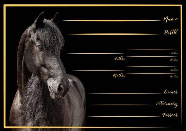 plaques de boxes -50%