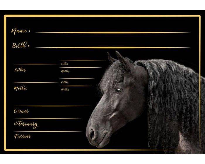 plaques de boxes -50%