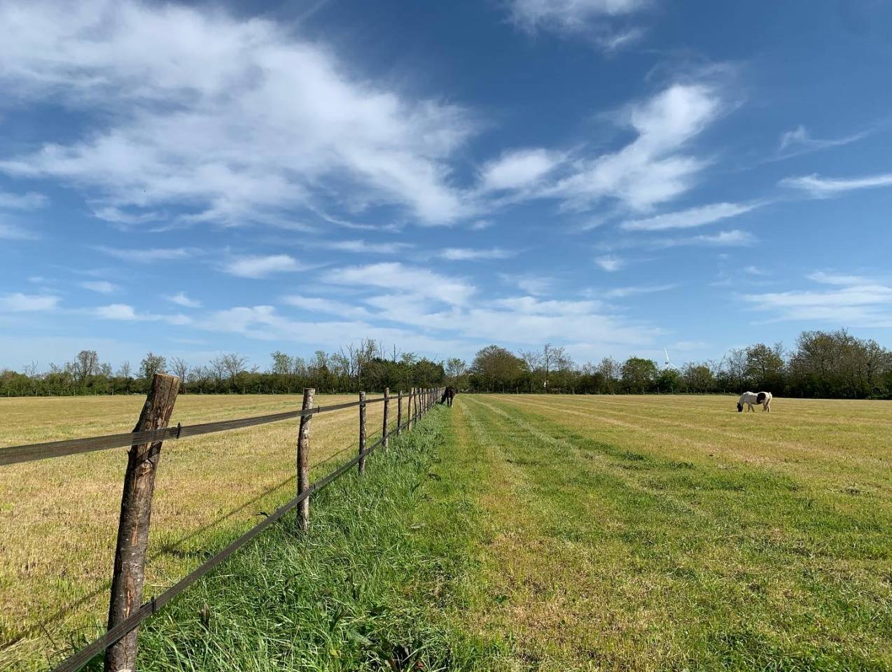 Pensions collectives au pr&eacute;