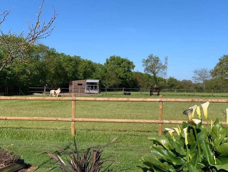 Pensions collectives au pr&eacute;