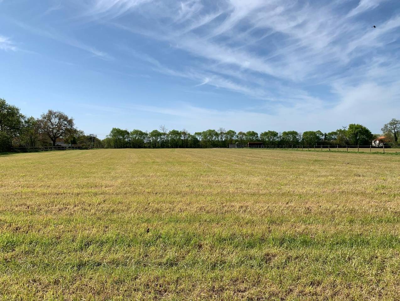 Pensions collectives au pr&eacute;