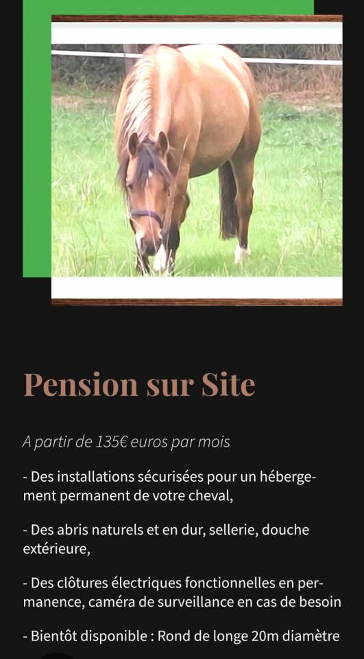 Pension chevaux haute vienne