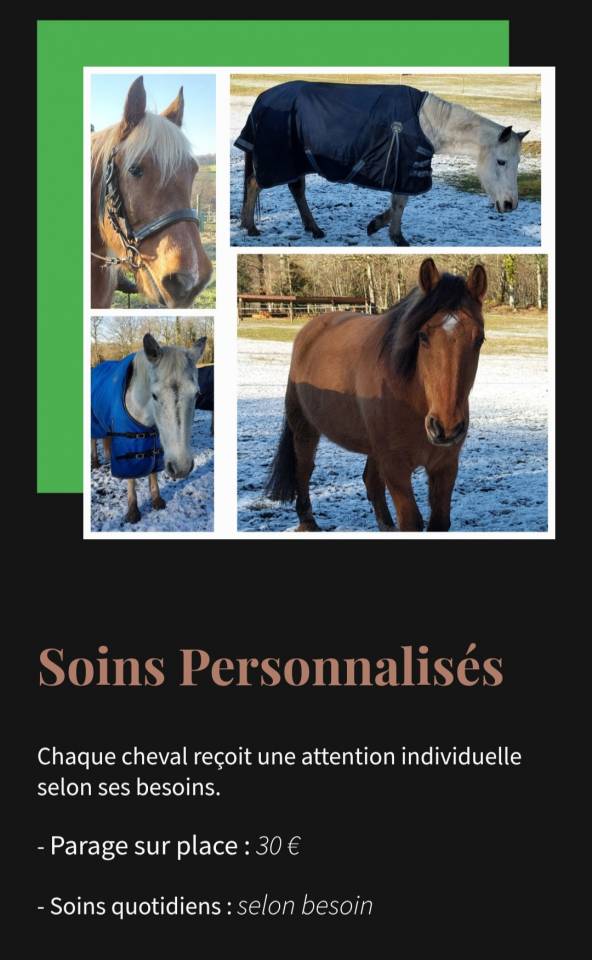 Pension chevaux haute vienne