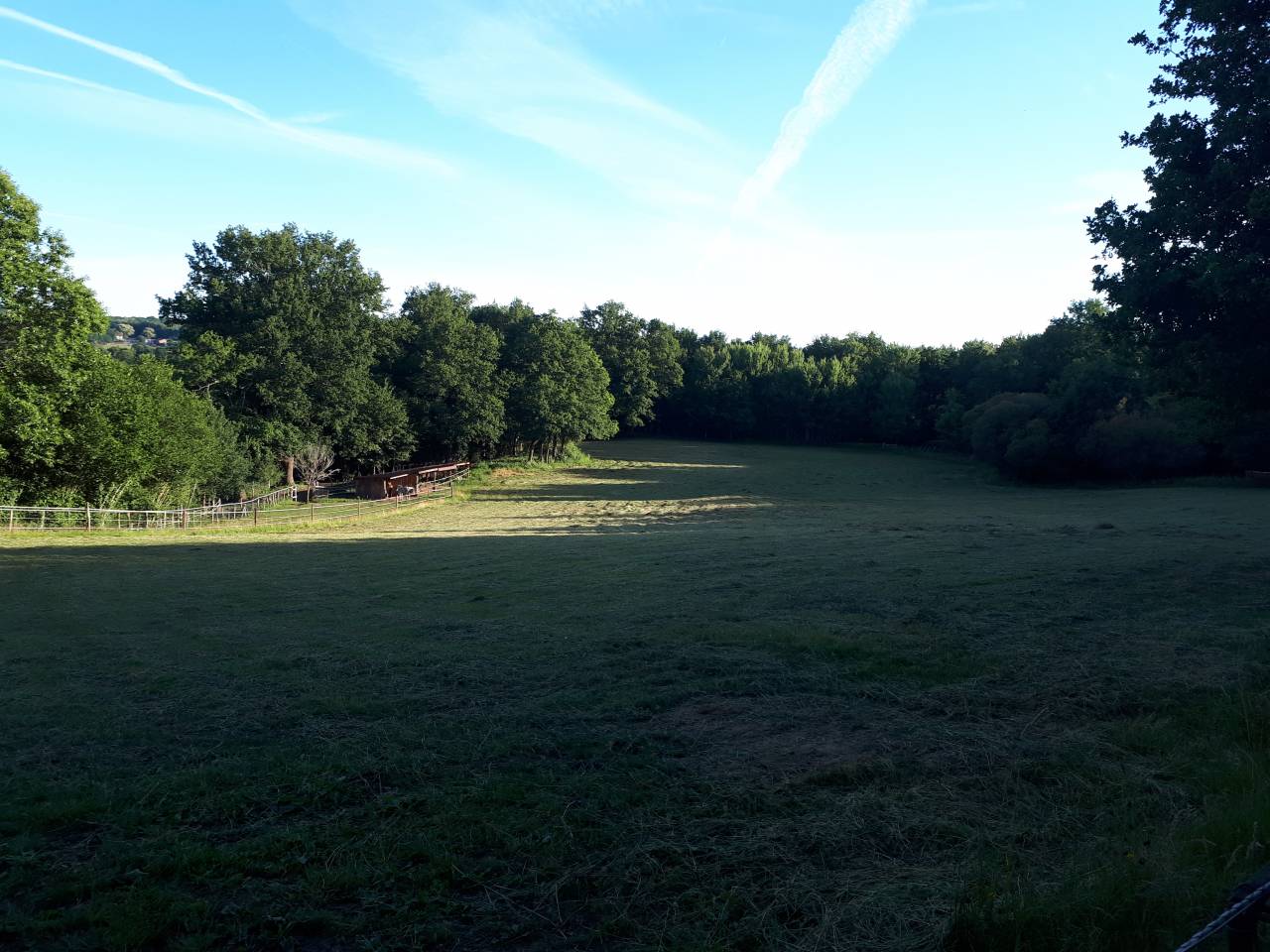 Pension chevaux haute vienne