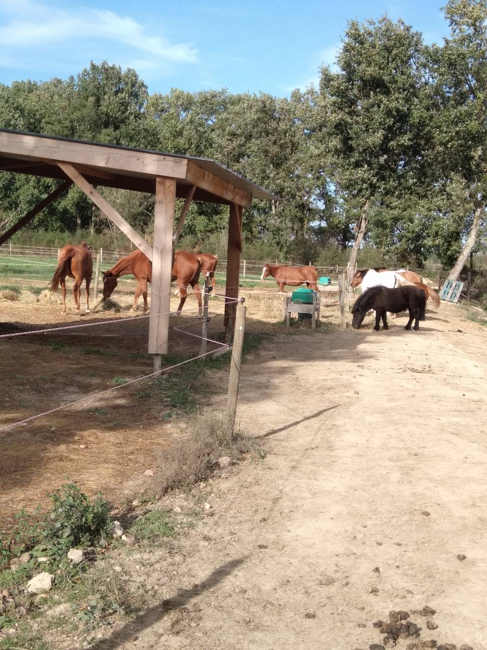 Pensions pr&eacute; tout confort &agrave; Bouloc &agrave; 20 mn de Toulouse