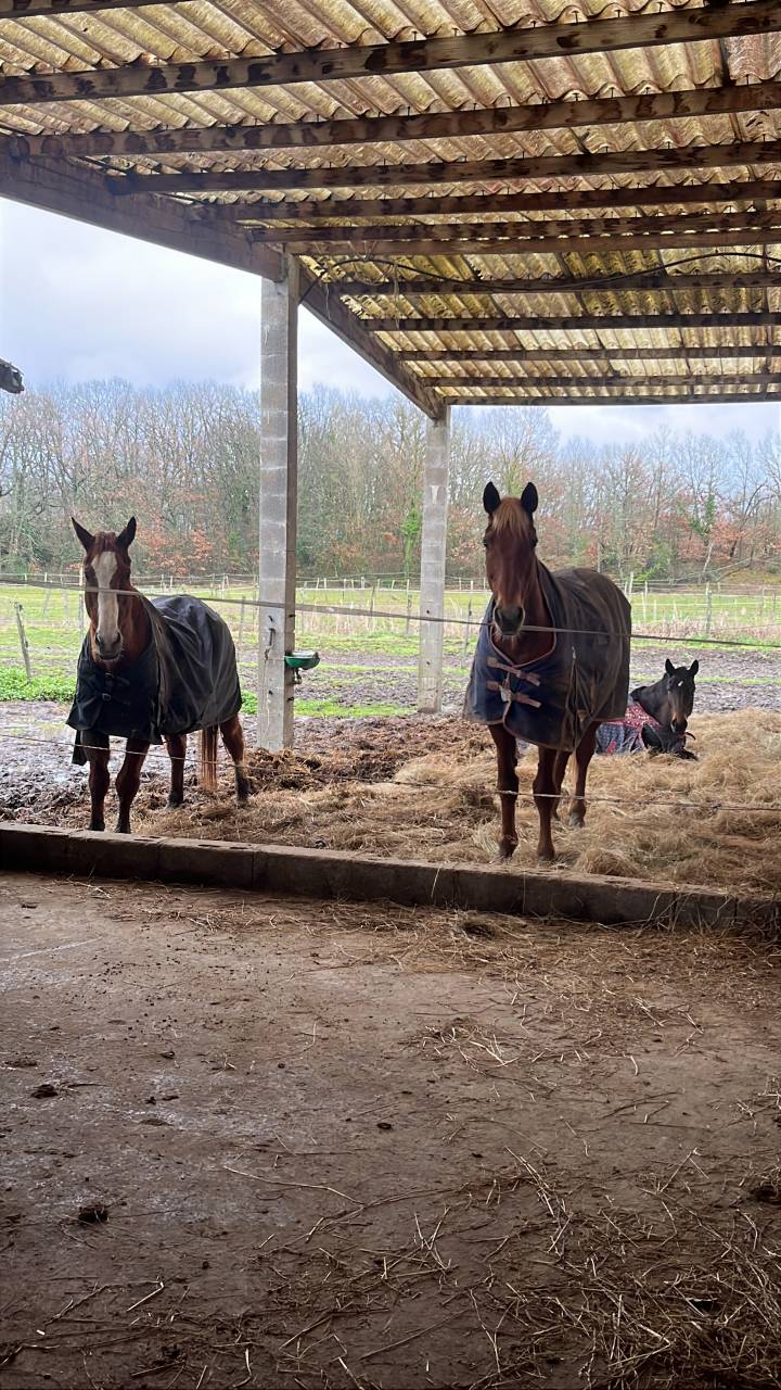Pensions pr&eacute; tout confort &agrave; Bouloc &agrave; 20 mn de Toulouse