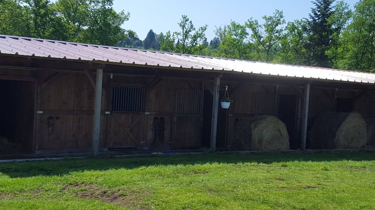 Pension familiales chevaux - Ecurie de Rêve (23)