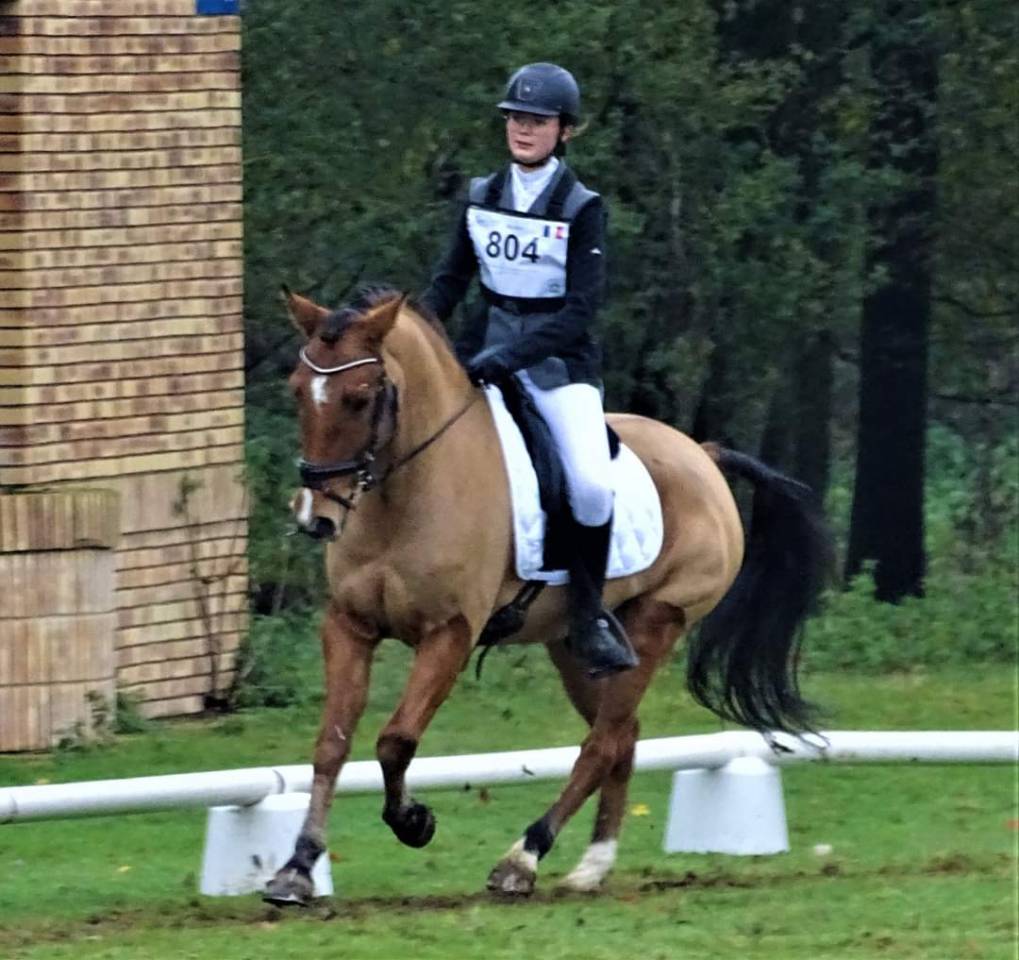 PONEY D'EXPÉRIENCE A PRENDRE EN DP