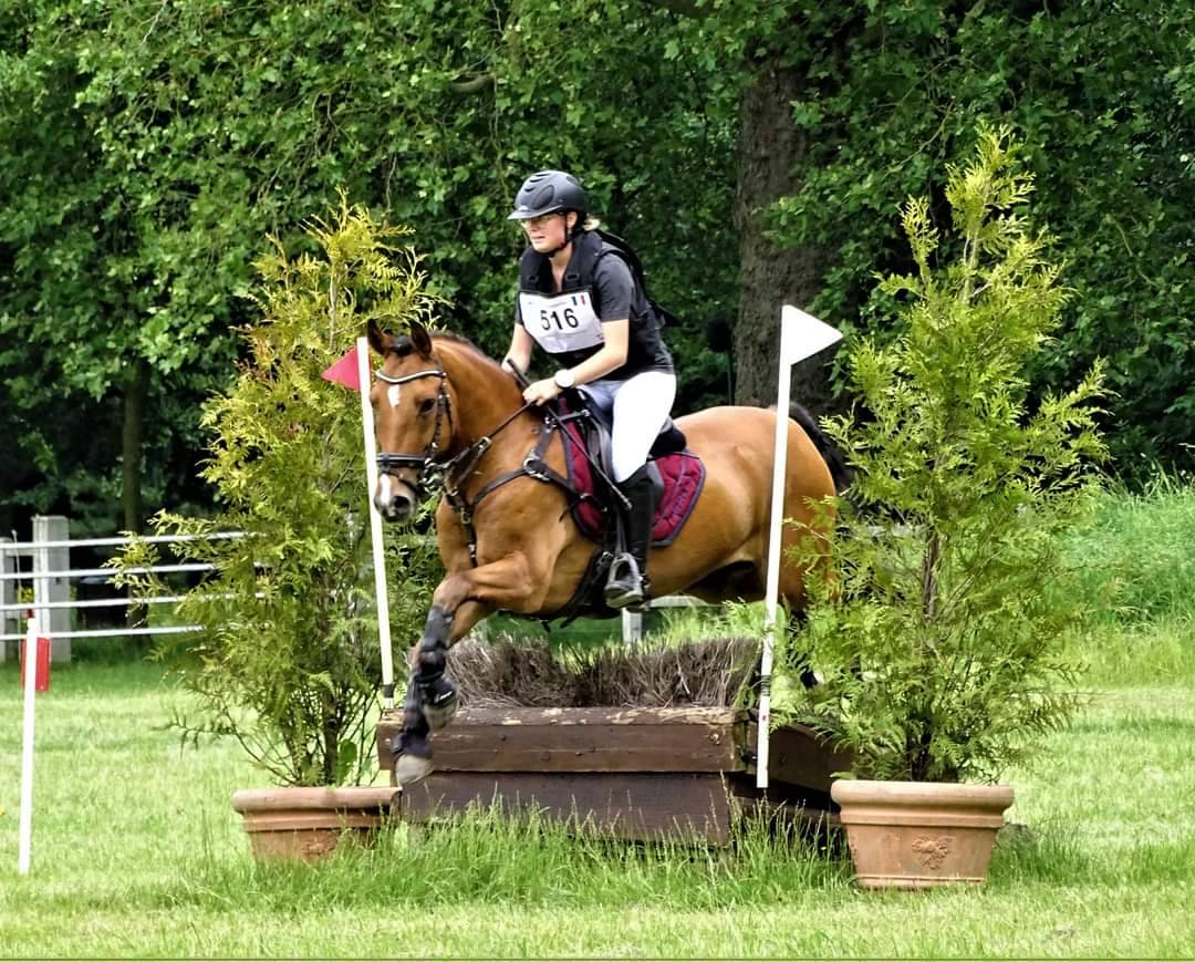 PONEY D'EXPÉRIENCE A PRENDRE EN DP