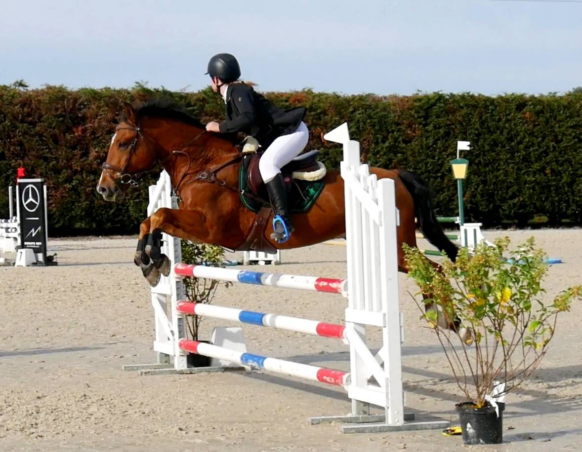 PONEY D'EXPÉRIENCE A PRENDRE EN DP