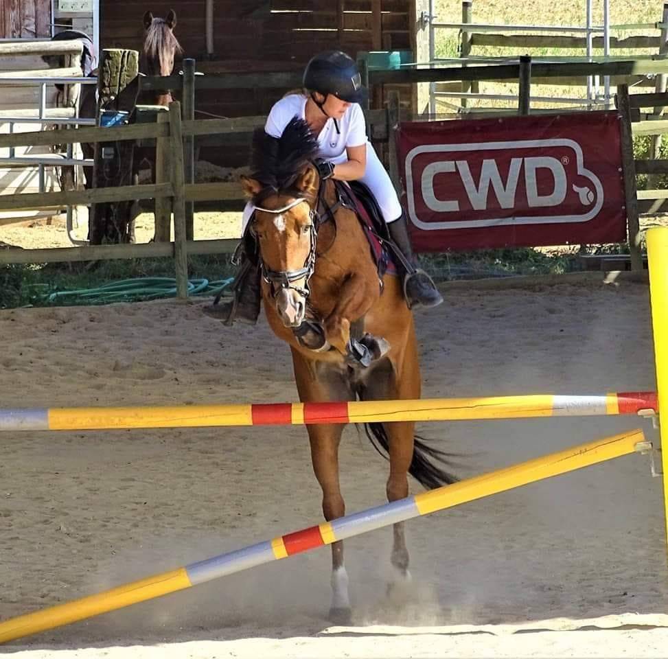 PONEY D'EXPÉRIENCE A PRENDRE EN DP