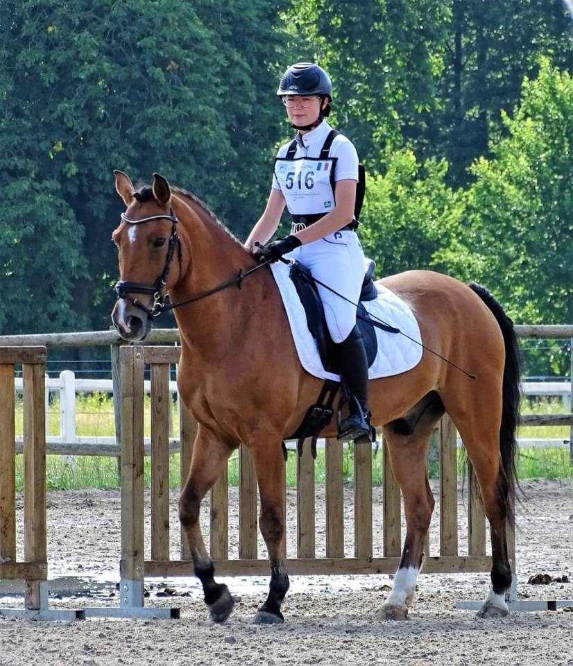 PONEY D'EXPÉRIENCE A PRENDRE EN DP