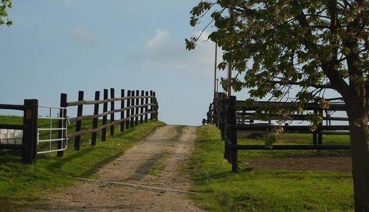 Pension pr&eacute;/box- pr&eacute;  - Haras de beuvreuil (76)