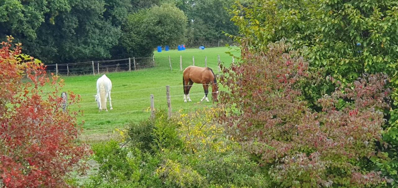 Pension sur Br&eacute;hand (22)