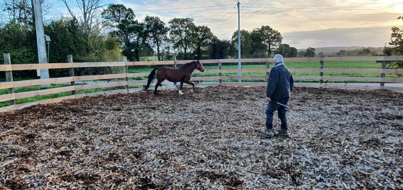 Pension sur Br&eacute;hand (22)