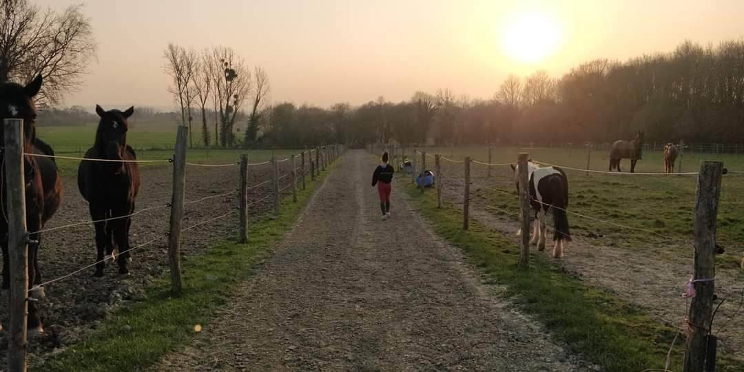 Pension sur Br&eacute;hand (22)
