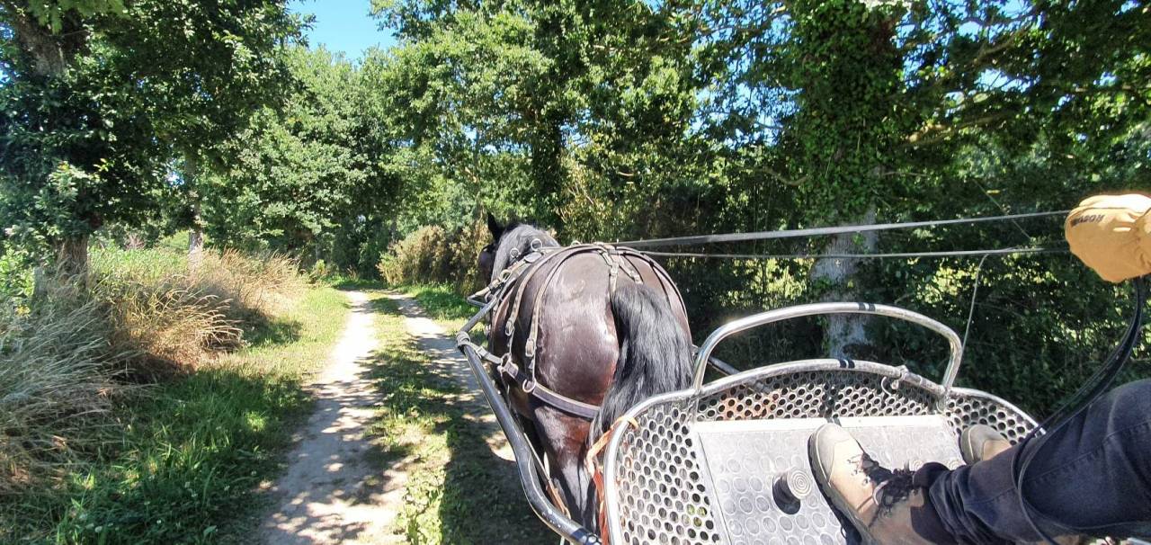 Pension sur Br&eacute;hand (22)
