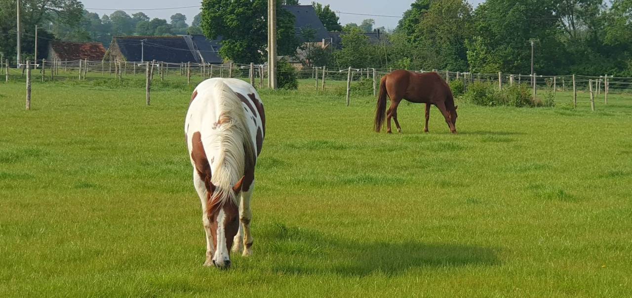 Pension sur Br&eacute;hand (22)